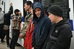 Закон об учете мигрантов в Московском регионе через мобильное приложение принят ГД