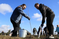 Более 850 га лесного фонда восстановят в Самарской области по нацпроекту
