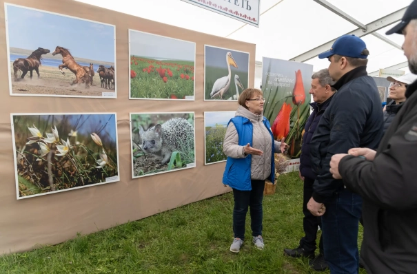 photo-report